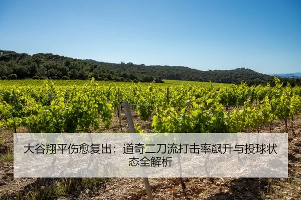 大谷翔平伤愈复出：道奇二刀流打击率飙升与投球状态全解析