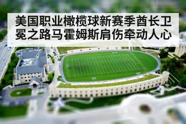 美国职业橄榄球新赛季酋长卫冕之路马霍姆斯肩伤牵动人心